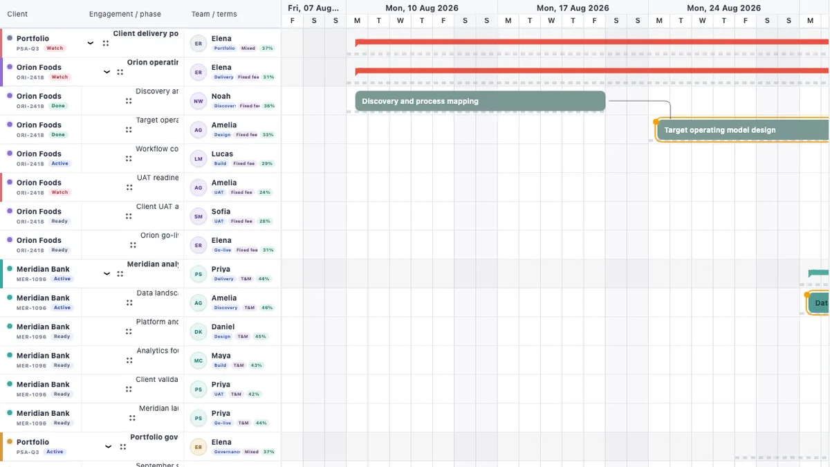 Professional services delivery shown in a real RevoGrid Gantt workspace