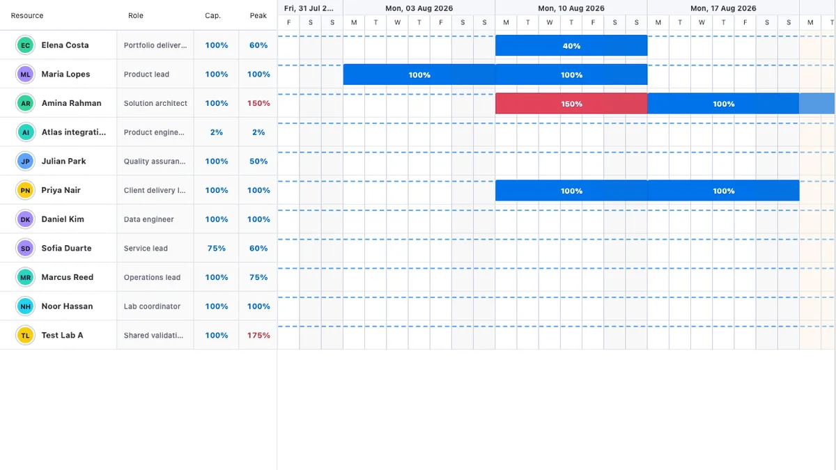 Resource and capacity planning shown in a real RevoGrid Gantt workspace